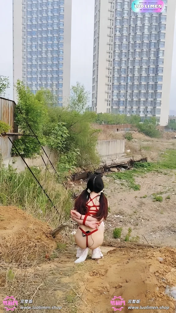图片[10]-一颗露露子 – [素菜] 5.05小时 SM调教户外露出福利订阅 -反差网